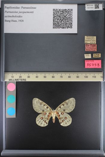 Media type: image;   Entomology 210425